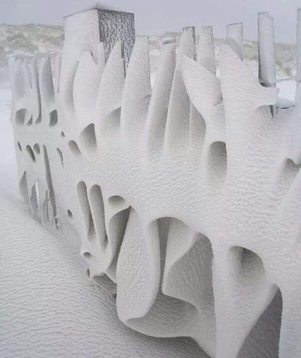 снег, забор