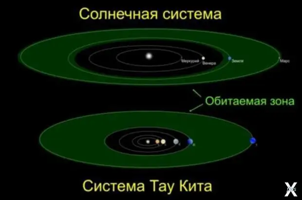 Тау кита. Звезды Тау кита и Эпсилон эридана. Тау кита звезда. Система Тау кита планеты. Зона Златовласки.