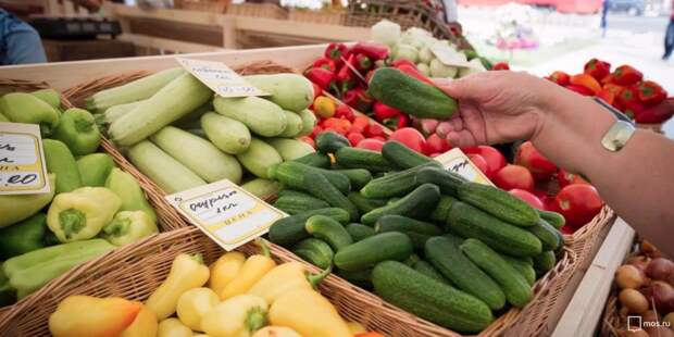 Столичные единоросы проверят качество продуктов в московских магазинах. Фото: mos.ru