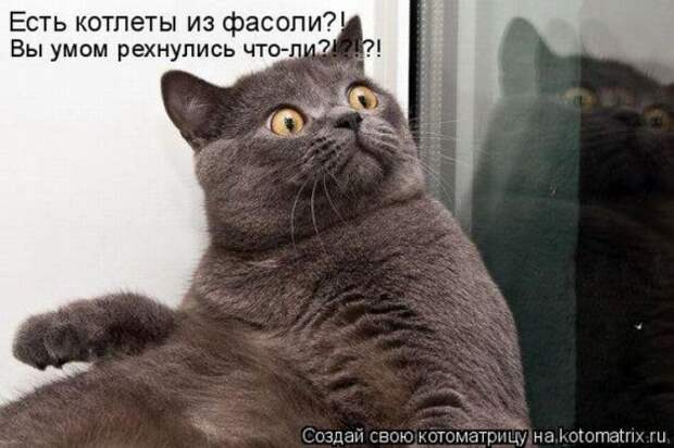 1359321473_96696244_large_5 (570x379, 62Kb)