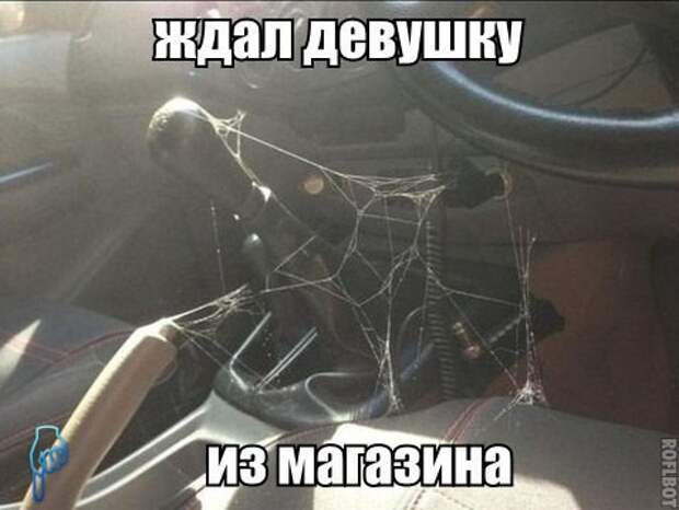 Картинки с Надписями 22.03.2016 Картинки с Надписями 22.03.2016 картинки, картинки с надписями, прикол, юмор
