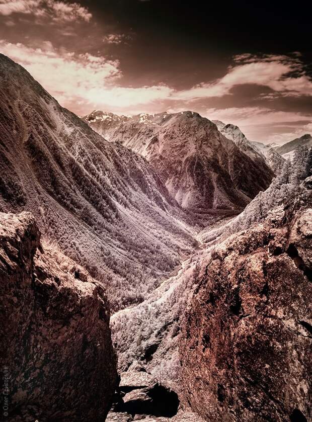 infrared14 infrared14 Инфракрасная фотография от Олега Григорьева