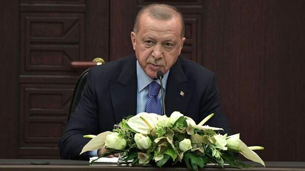 Профессор Бакланов: Эрдоган продолжит выбиваться в мировые лидеры