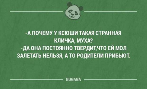 Стихи про столяра. Профессия столяр плотник. Ему это для работы нужно. Правила дистанционной работы. Цитаты которые поставят человека на место.