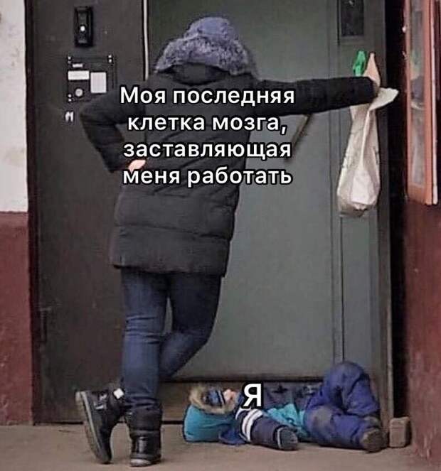 А как вам работается по жизни? А как вам работается по жизни?