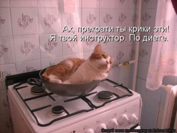 Веселая котоматрица за неделю (28 шт)