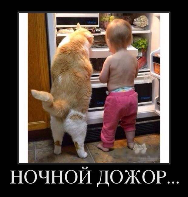 Демотиваторы Демотиваторы
