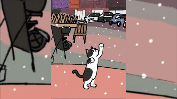 Утренняя милота. Кот из Китая стал звездой соцсетей после встречи со снегом