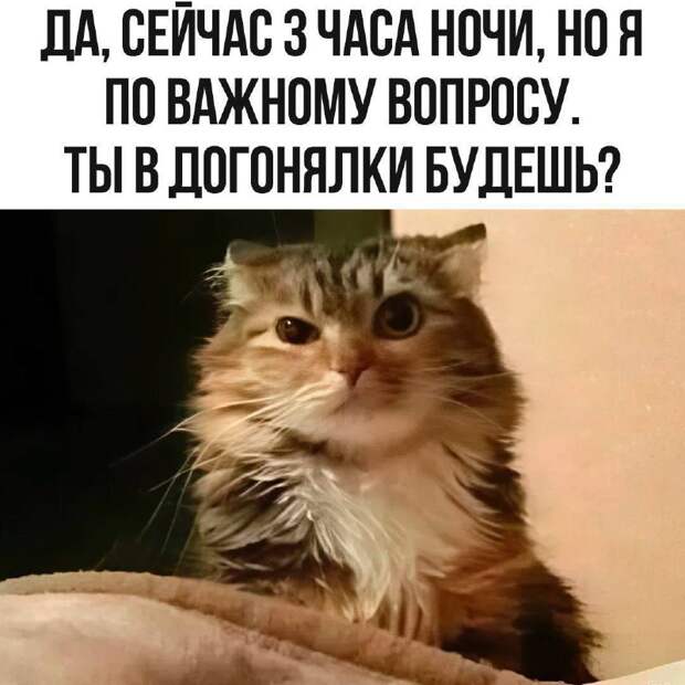 @psychology_funny #юмор #смешное #приколы