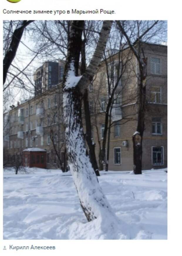 Фото: скриншот записи сообщества «Марьина Роща, надень маску» Вконтакте