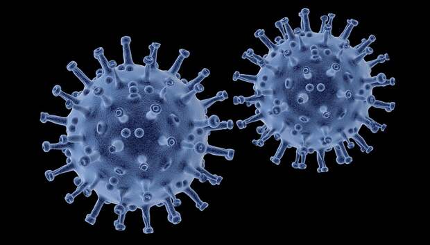 817 случаев коронавируса выявили в Подмосковье за сутки