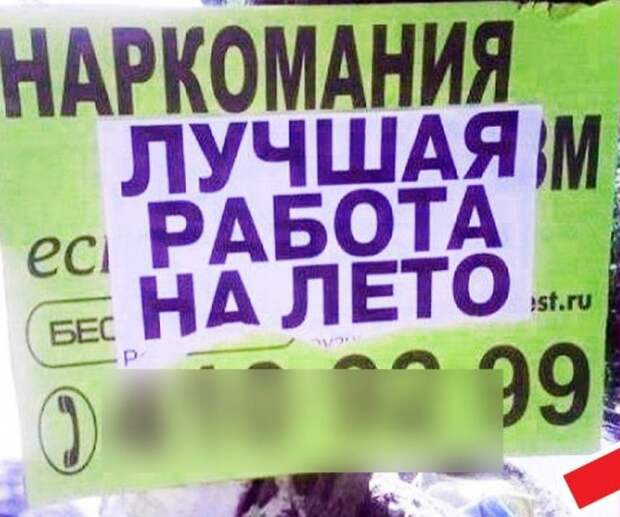 Смешные и необычные вывески