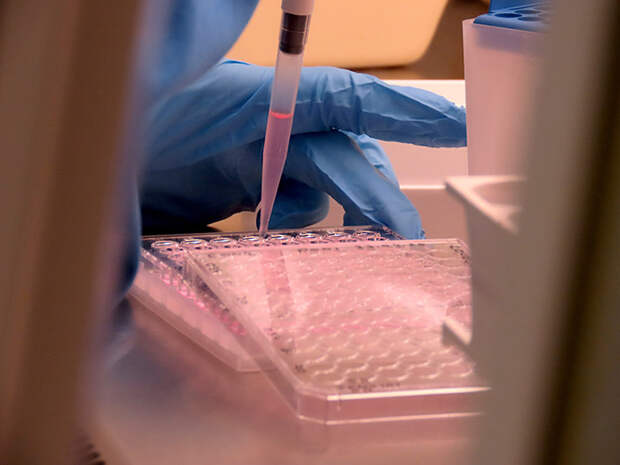 Производство санитайзеров Bvlgari