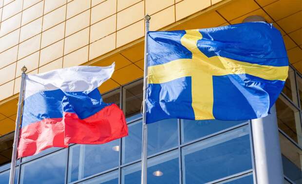 Либералов жалко: шведы вбухают в оппозицию РФ миллионы евро