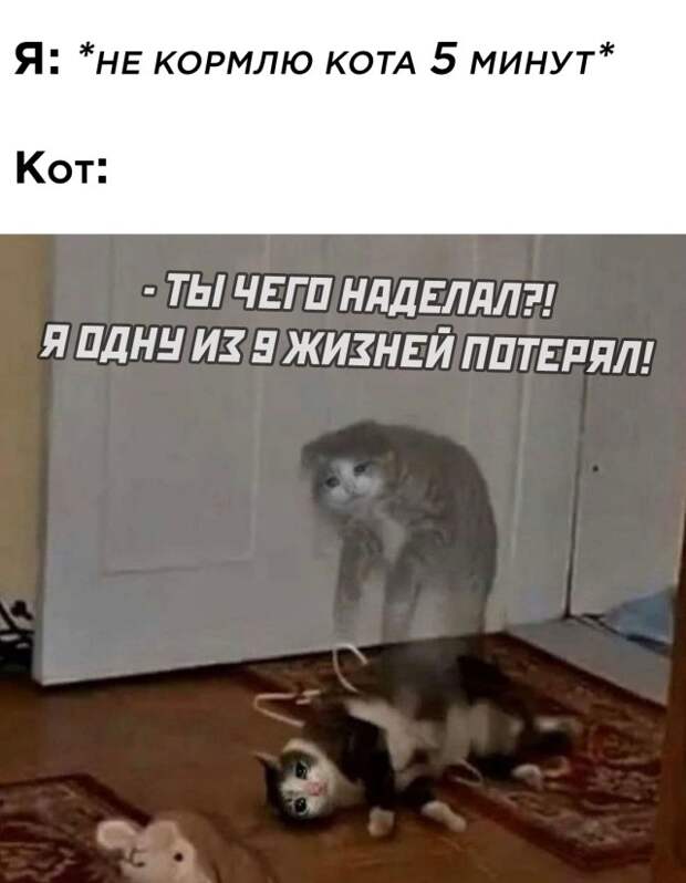 Смешные картинки 19 февраля 2021 года