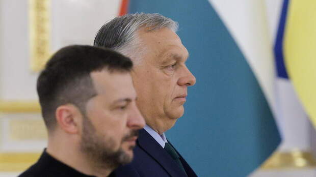 Berliner Zeitung: cсора Орбана с Зеленским грозит сорвать планы Киева на ЕС