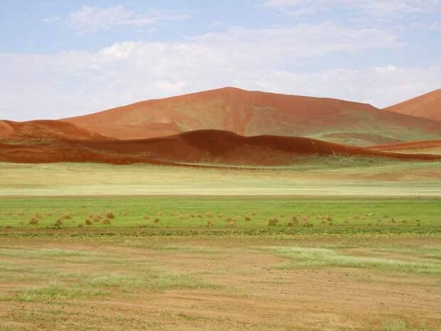 Национальный парк Берег скелетов в Намибии (Skeleton Coast Park)