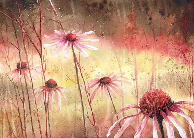       (Malgorzata Szczecinska)