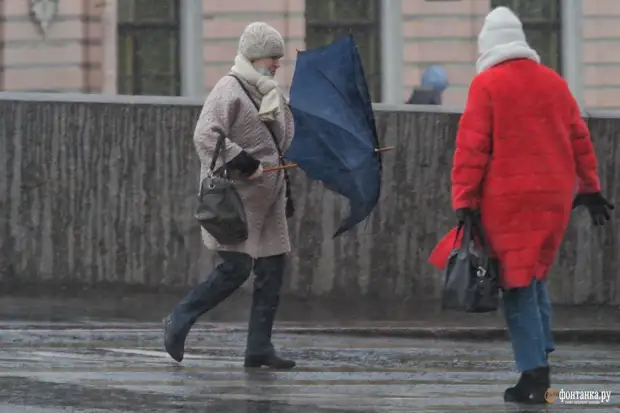 Не совершай ошибку. Снаружи ветер ломает зонтики петербуржцев