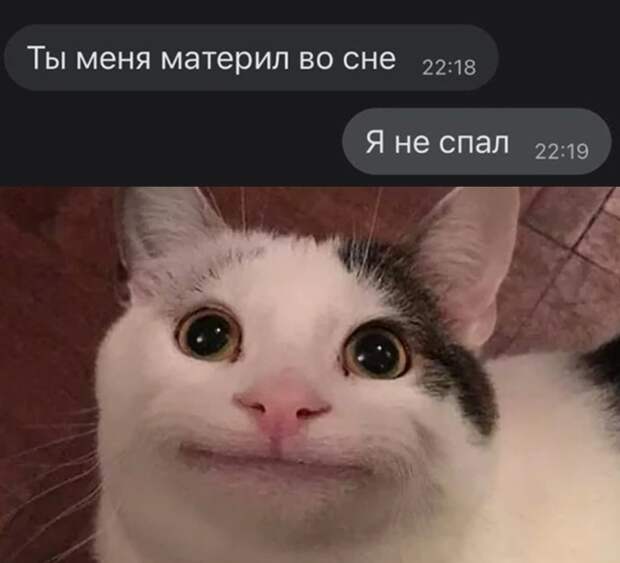 Смешные картинки 2 ноября 2021 года