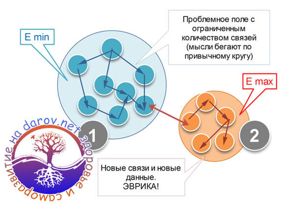 Нейральные связи и выбор судьбы