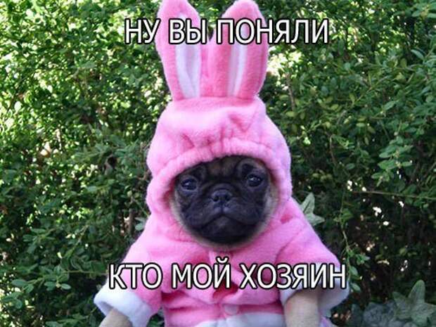 Всяко - разно 11 ))) Всяко - разно 11 )))