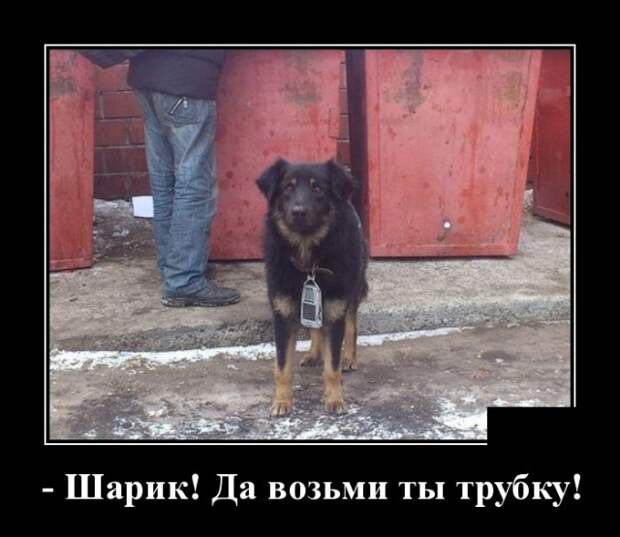Демотиваторы (30 фото)