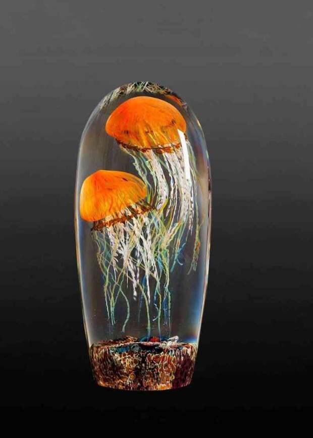 DOUBLE PACIFIC COAST JELLYFISH. Rick Satava