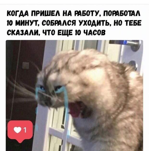 А как вам работается по жизни? А как вам работается по жизни?