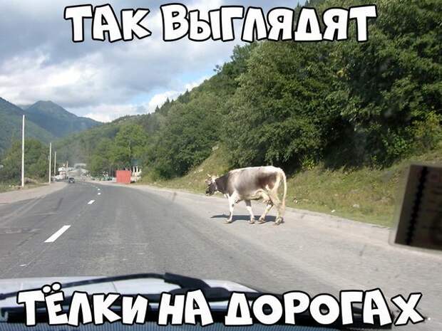 Автовсячина Автовсячина, авто, автомобиль, автоприкол, машина, прикол