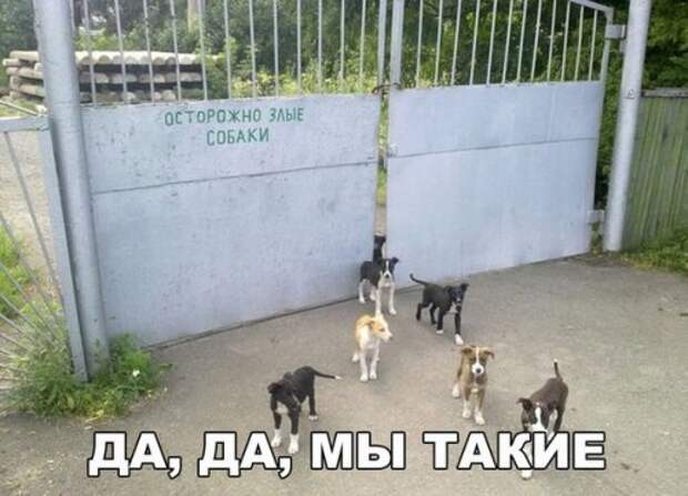 Анекдоты перед выходными (20 шт)