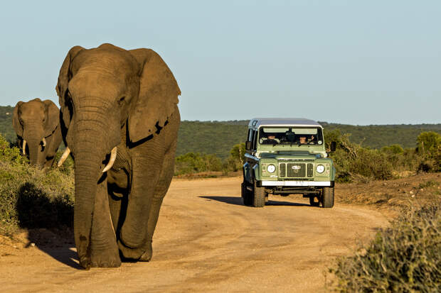 Девушка проигнорировала известный эффект кофе и стала посмешищем в глазах друзей