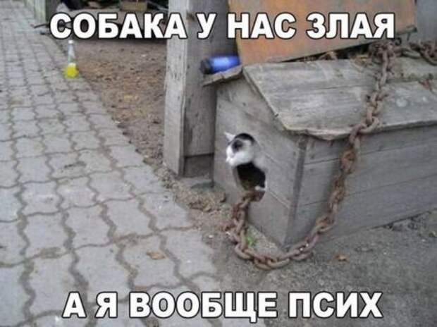 Посмеемся?