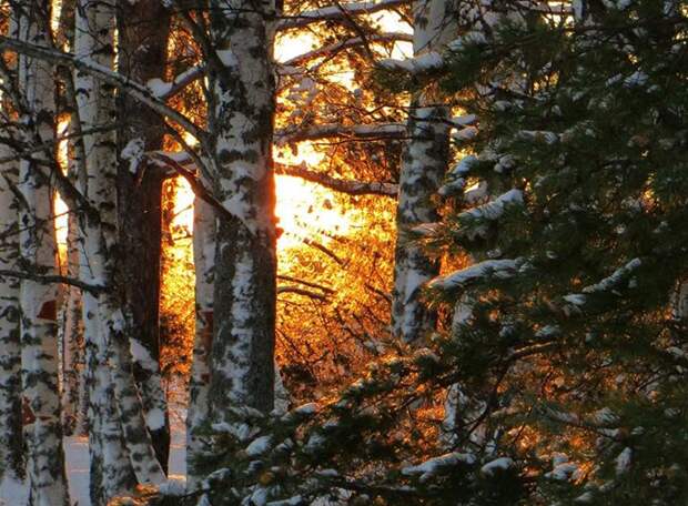 В Московском планетарии уточнили, что световой день увеличится с 26 декабря