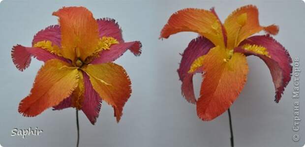 Поделка изделие Бумагопластика цветы из гофробумаги  мастер-класс Бумага гофрированная фото 10