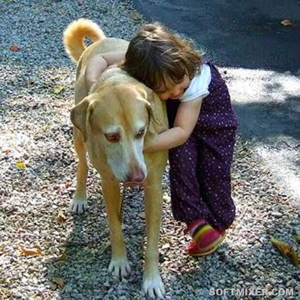 kid-hugging-dog