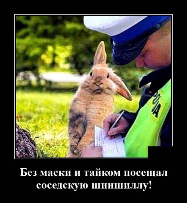 Демотиватор про штрафы
