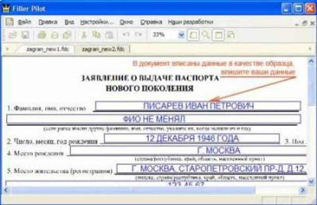 Программа пилот. Заявление о выдаче паспорта нового поколения. Form Pilot Office. Пилот программа. Образец заполнения заявления на загранпаспорт.