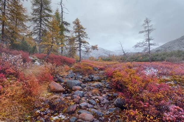 Туманы, моря и горы на атмосферных осенних фотопейзажах, снятых на севере России