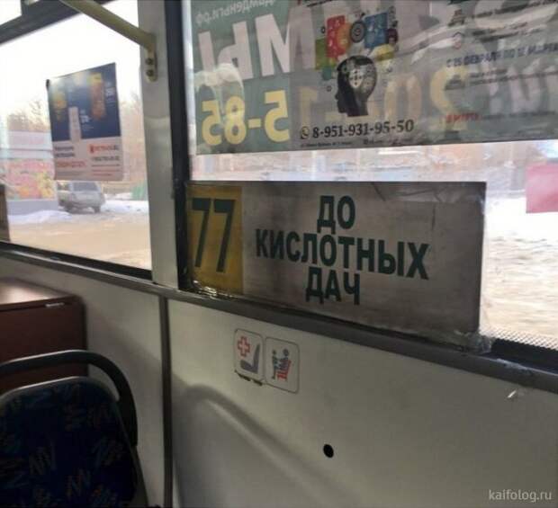 Пятничные картинки (50 приколов)
