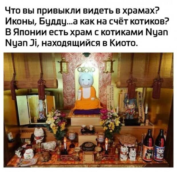Так себе картинки
