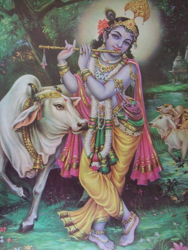 Шри Кришна на Голоке Вриндаване - духовнейшей высшей планете святых личностей  и коров