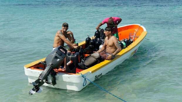 diving