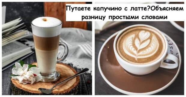 Путаете капучино с латте? Объясняем разницу простыми словами