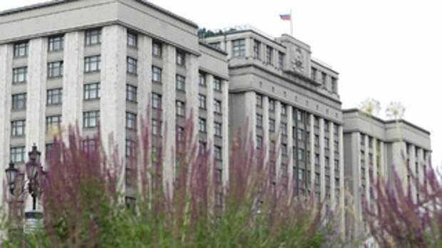 Российская Госдума / Фото: duma.gov.ru