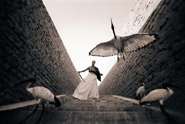 Люди и животные в фотографиях Gregory Colbert Люди и животные в фотографиях Gregory Colbert