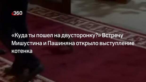 СМИ опубликовали видео с котенком, чуть не ворвавшимся на заседание Евразийского совета