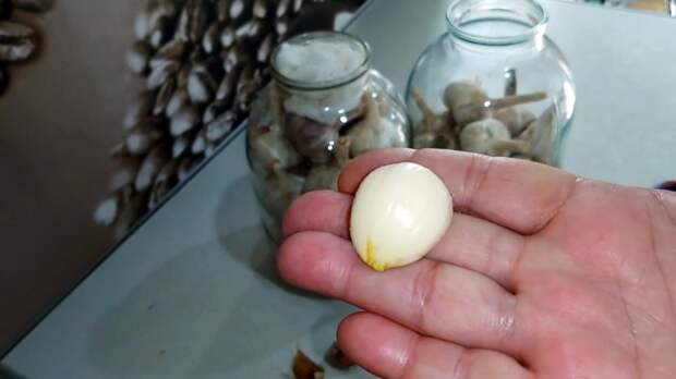 Лучший способ хранения чеснока