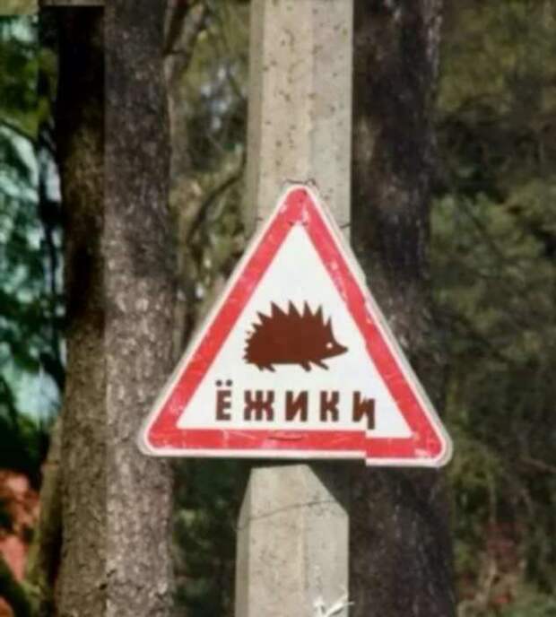Предупреждающие таблички. Прикольные. Подборкаchert-poberi-tablichki-27521212082020-3 картинка chert-poberi-tablichki-27521212082020-3