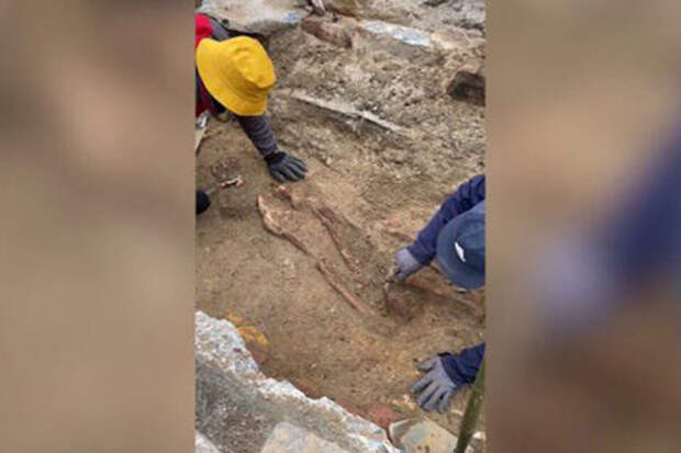 Fox News: в Англии строители во время ремонта дороги откопали 300-летнюю пушку